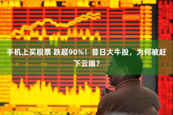 手机上买股票 跌超90%！昔日大牛股，为何被赶下云端？