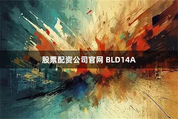 股票配资公司官网 BLD14A